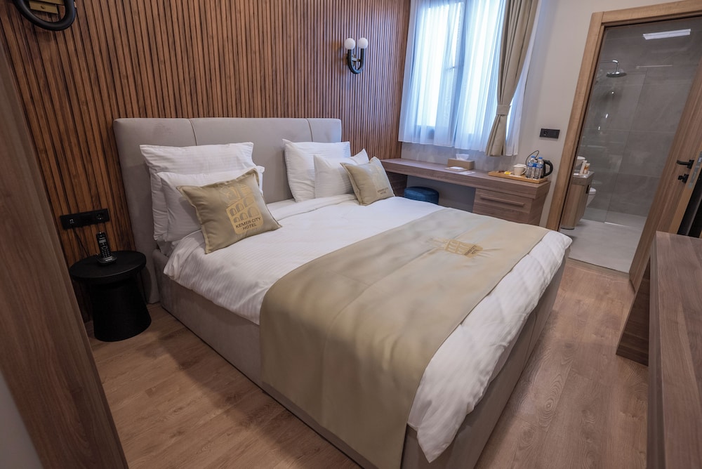 Superior Double Room, Non Smoking, City View photo 1