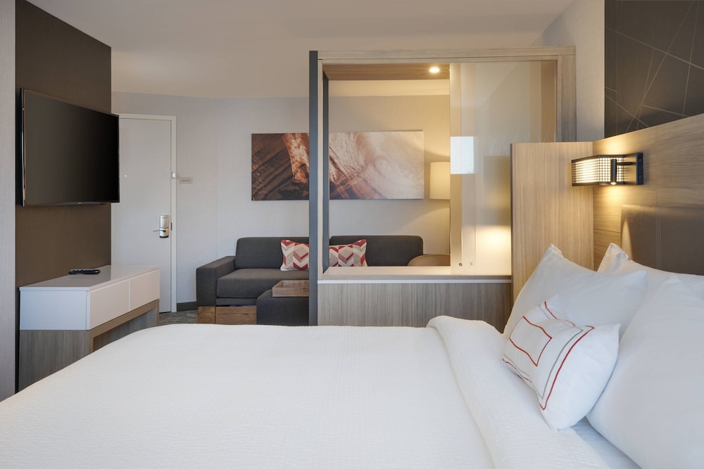 Suite, 1 King Bed photo 2