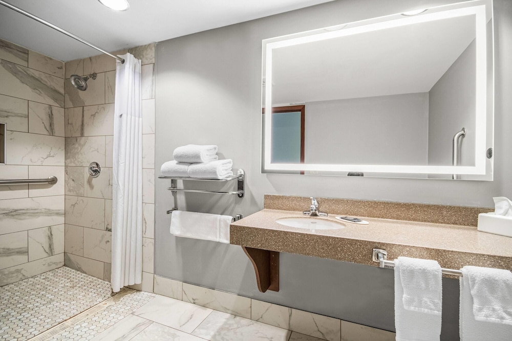 1 Queen Bed, Mobility Accessible Room, Roll-In Shower, Non-Smoking - Photo 4