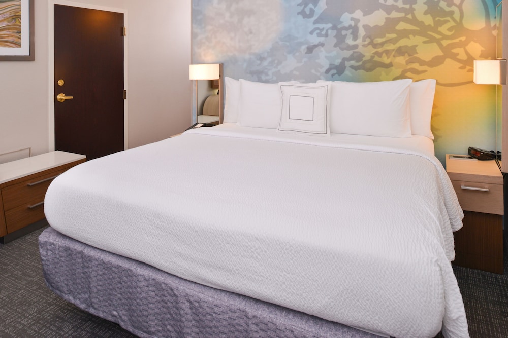 Room, 1 King Bed With Sofa Bed (Mobility/Hearing Accessible, Tub) photo 3