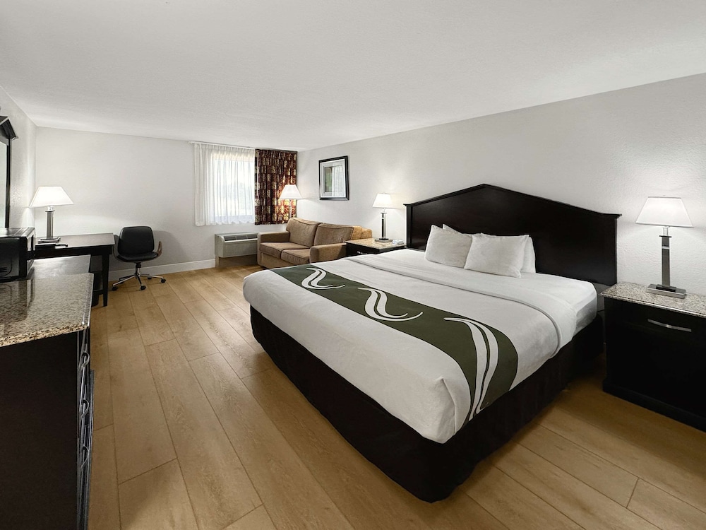 Room, 1 King Bed With Sofa Bed, Non Smoking photo 1