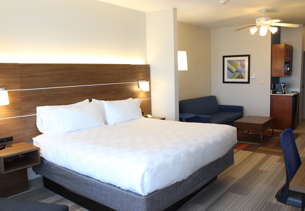 Suite, 1 King Bed with Sofa bed, Accessible, Non Smoking (Mobility) - Photo 3