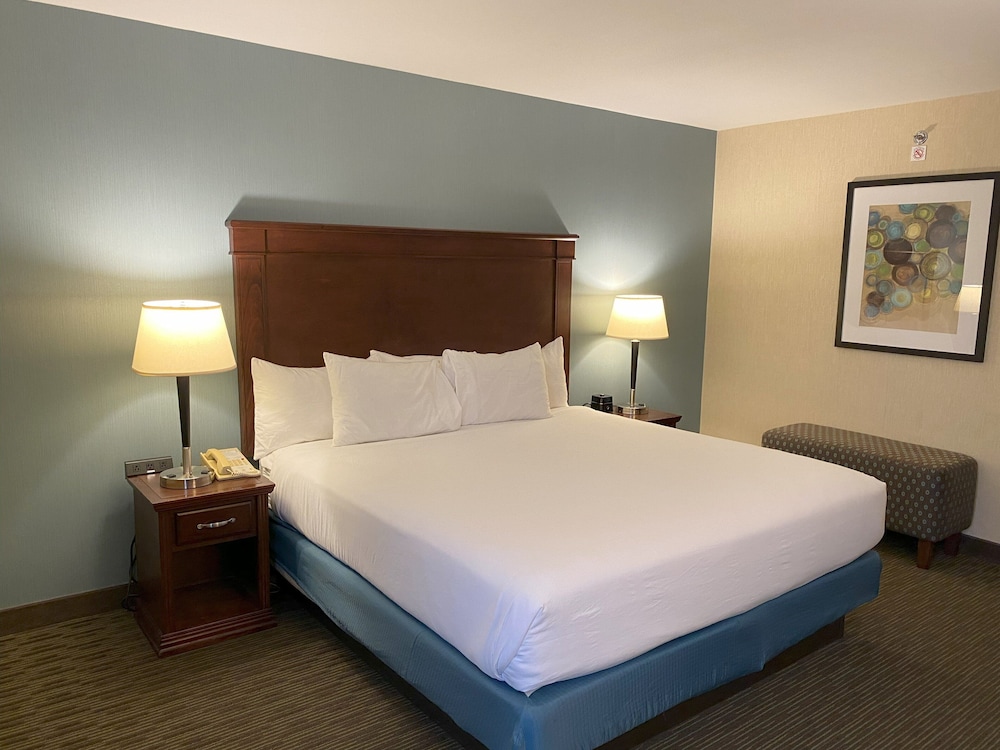 Suite, 1 Bedroom - Photo 1