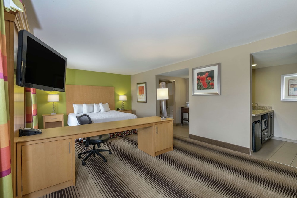 Studio, 1 King Bed, Accessible, Non Smoking photo 1