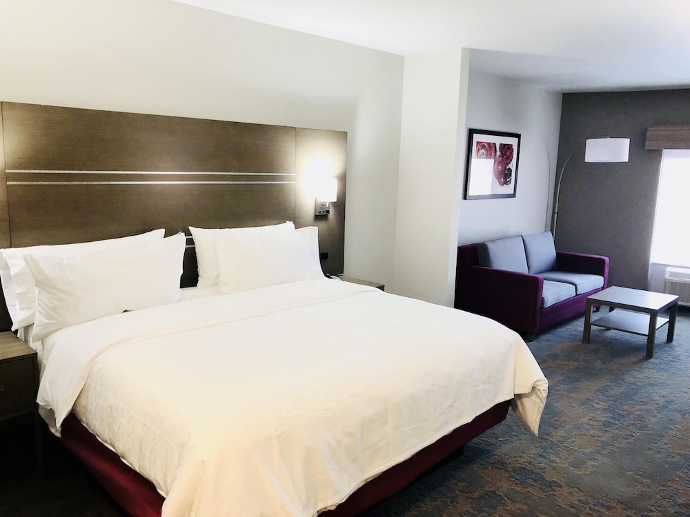 Suite, 1 King Bed photo 1