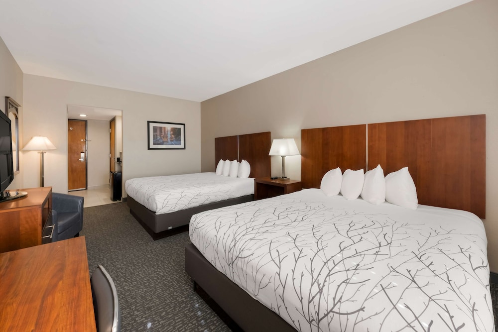 Standard Room, 2 Queen Beds, Accessible, Refrigerator & Microwave - Photo 3