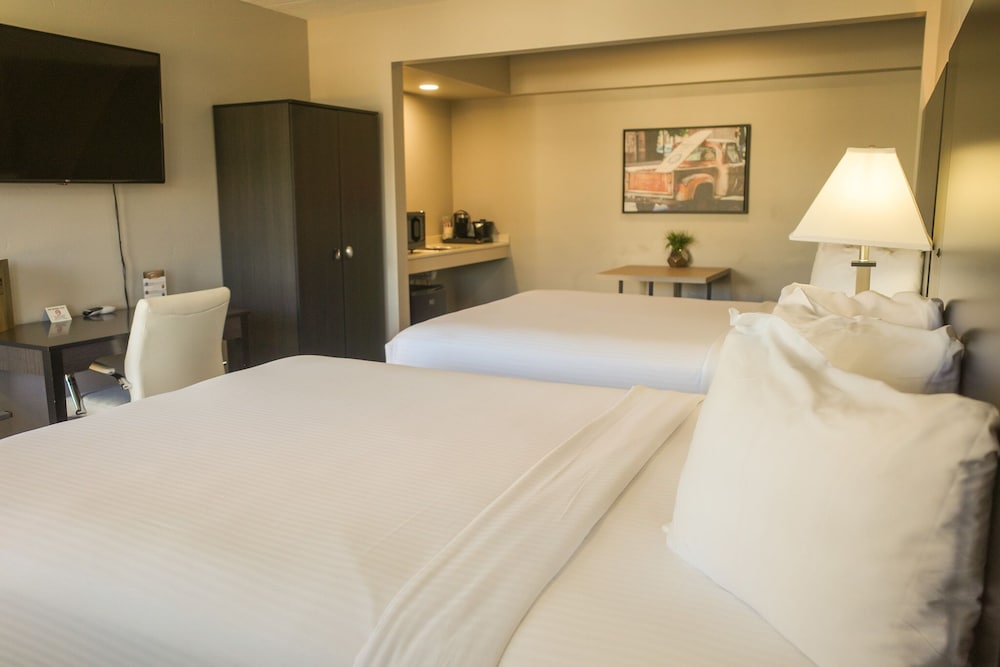 King Queen Queen Pet Friendly Suite photo 2