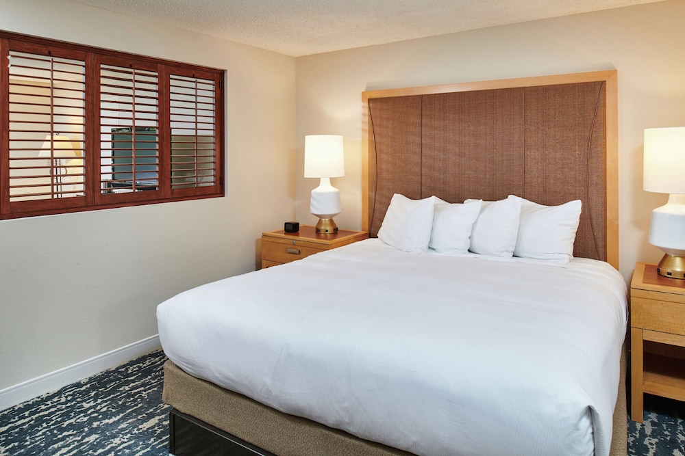 Suite, 1 King Bed photo 2