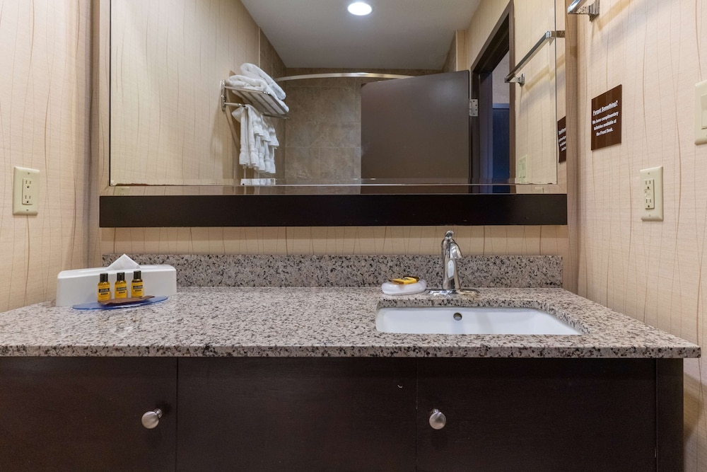 Executive Suite, 1 King Bed, Non Smoking, Refrigerator & Microwave (with Sofabed) - Photo 4