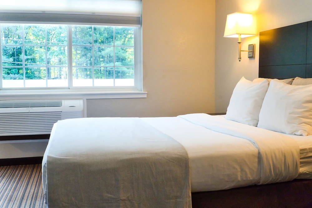 Classic Single Room - Photo 3