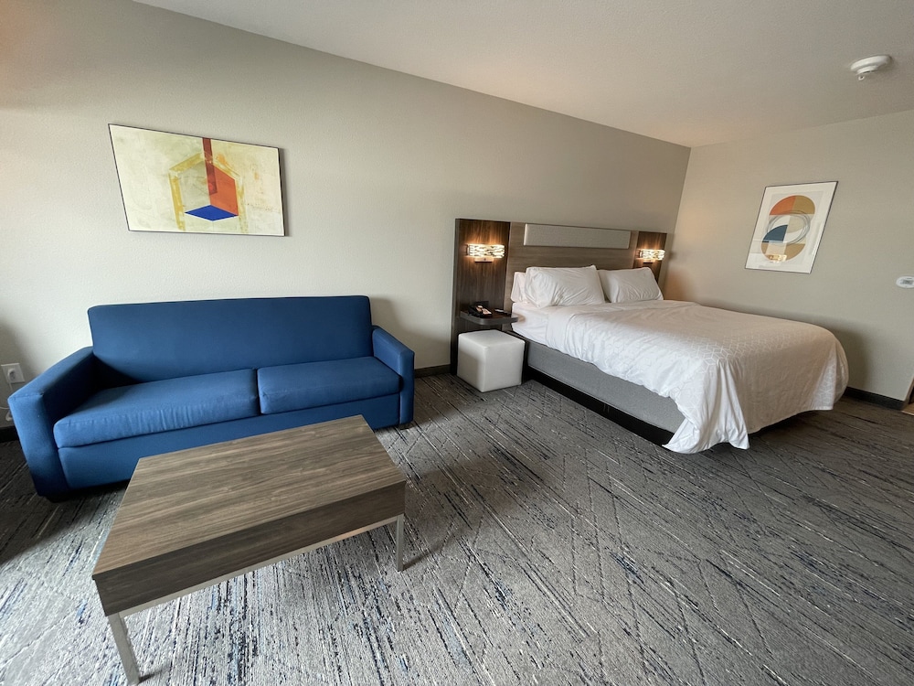 Suite, 1 King Bed with Sofa bed, Transfer Shower, Non Smoking (Mobility, Transfer Shower)