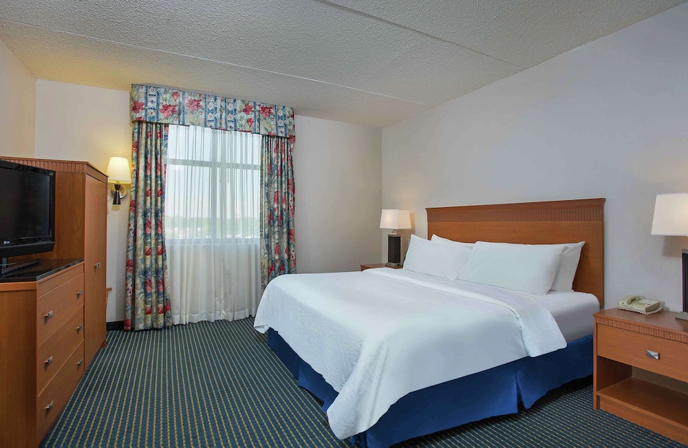 Suite, 1 King Bed, Accessible (Mobility & Hearing, Roll-in Shower)