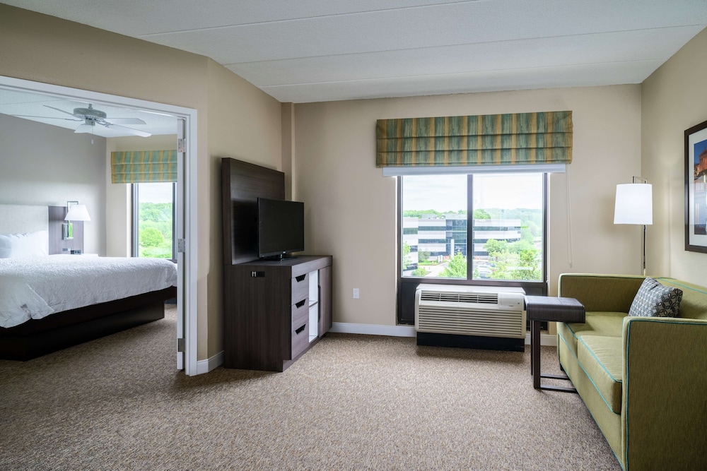 Suite, 1 King Bed, Accessible (3x3 Shower) photo 2