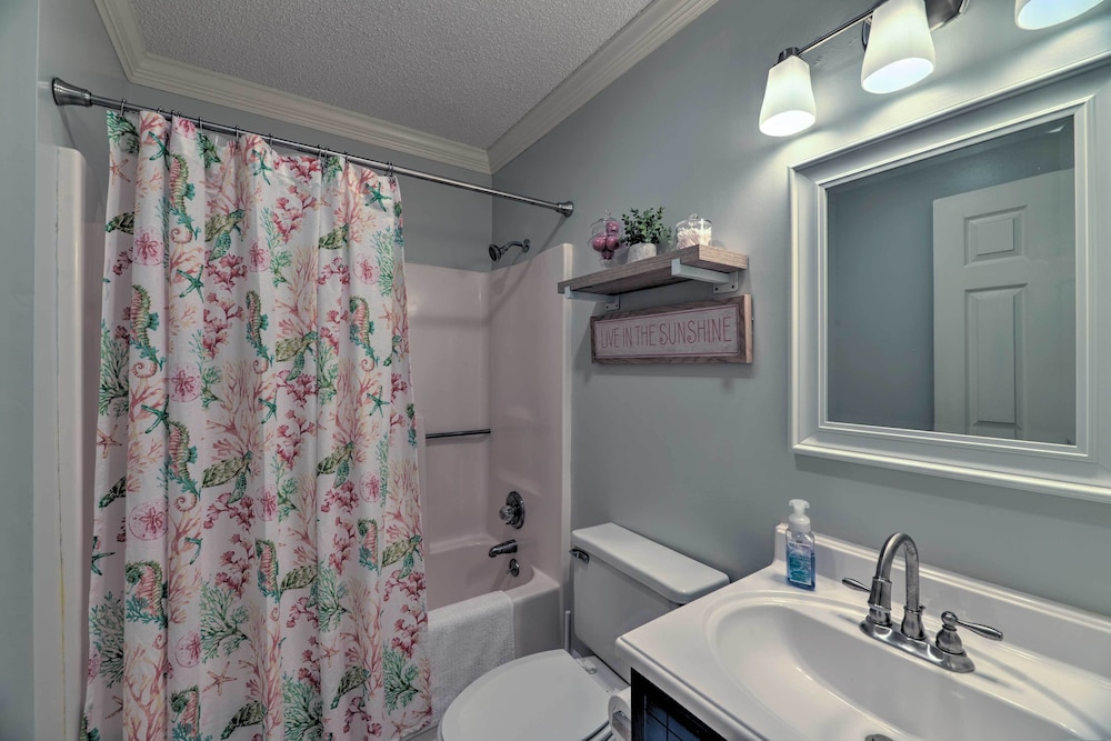 Apartment (1 Bedroom) photo 3