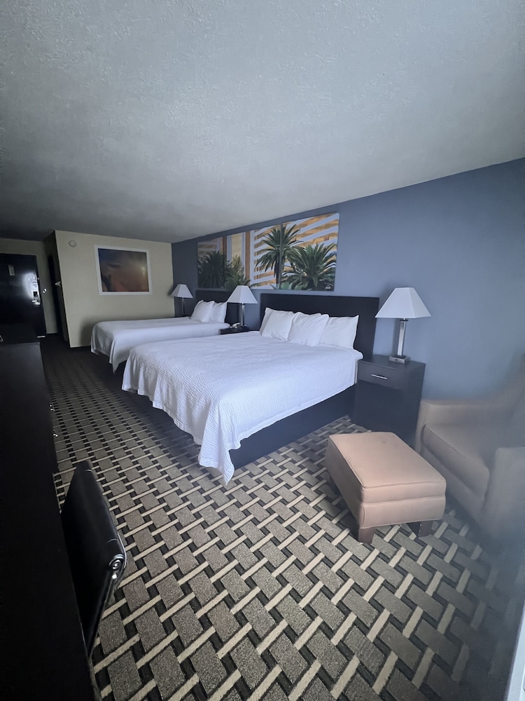 Studio Suite, Multiple Beds, Non Smoking photo 2
