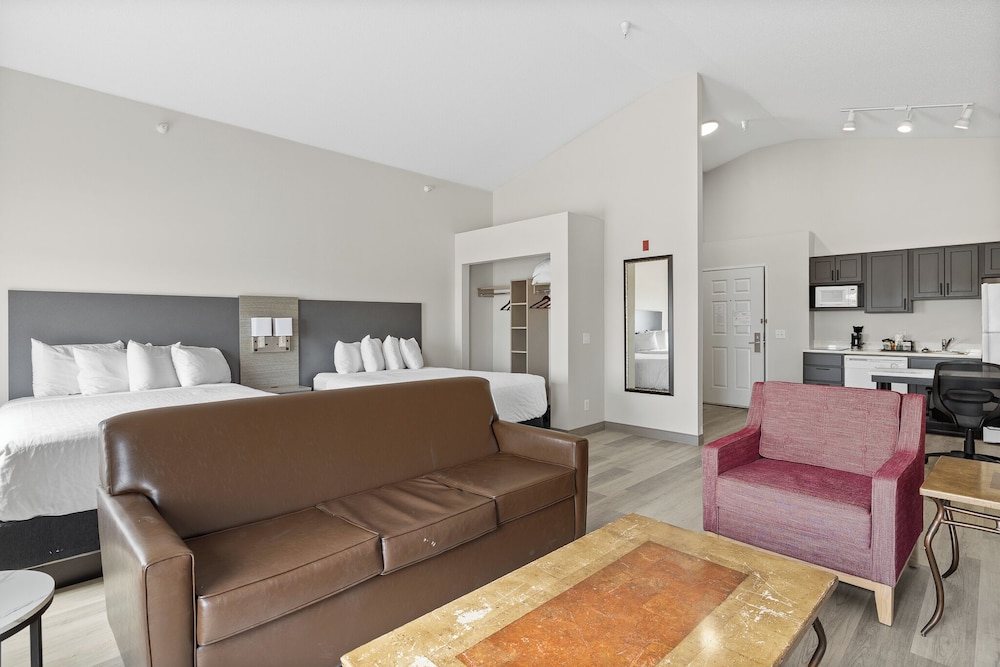 Deluxe Studio, 2 Queen Beds - Photo 3