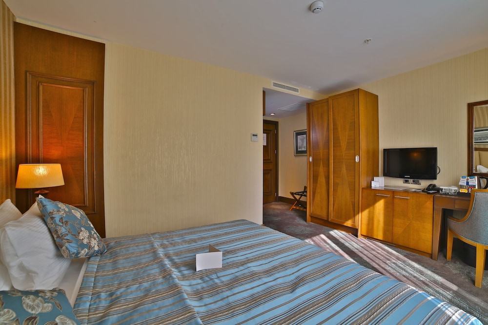 Deluxe Double Room photo 2
