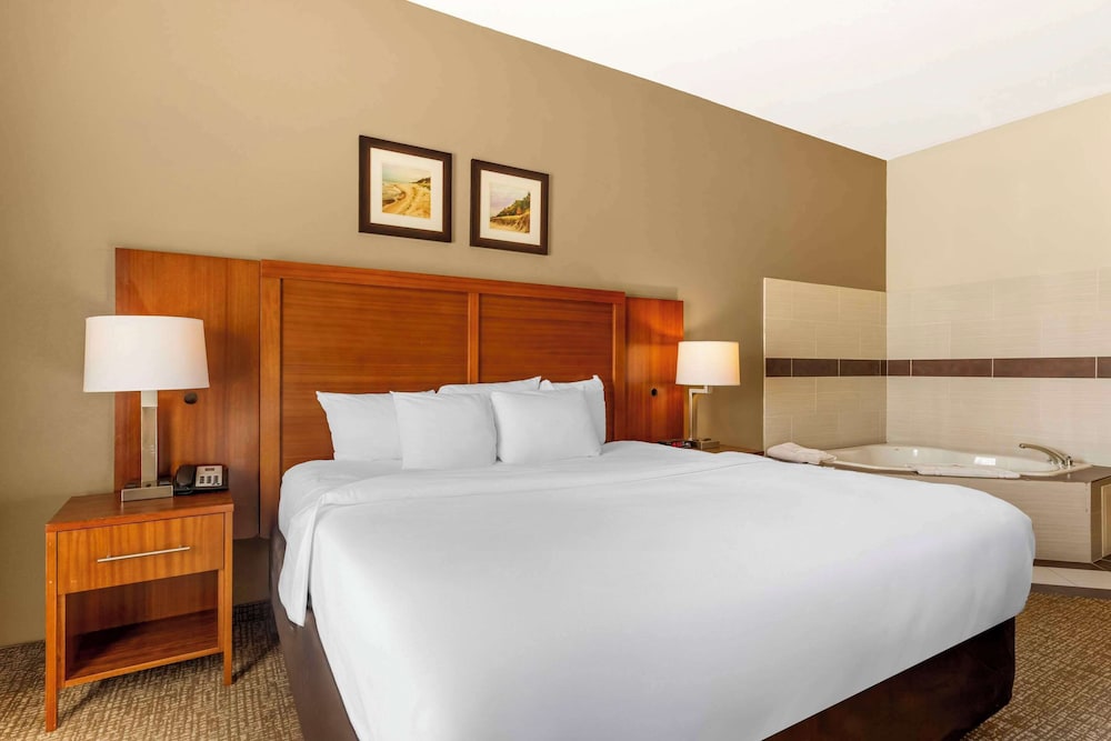 Suite, 1 King Bed with Sofa bed, Accessible, Non Smoking (Roll-In Shower) - Photo 1