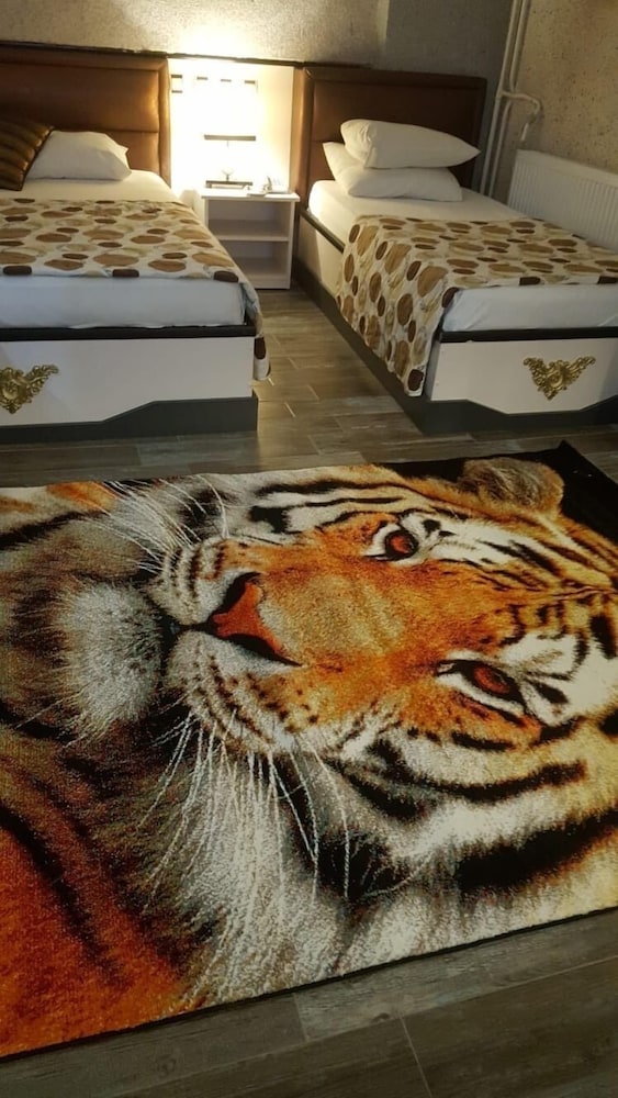 Twin Room photo 1