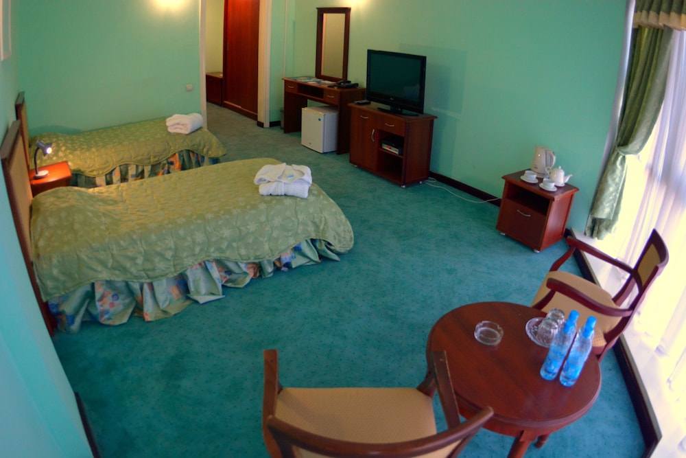 Standard Double or Twin Room photo 2