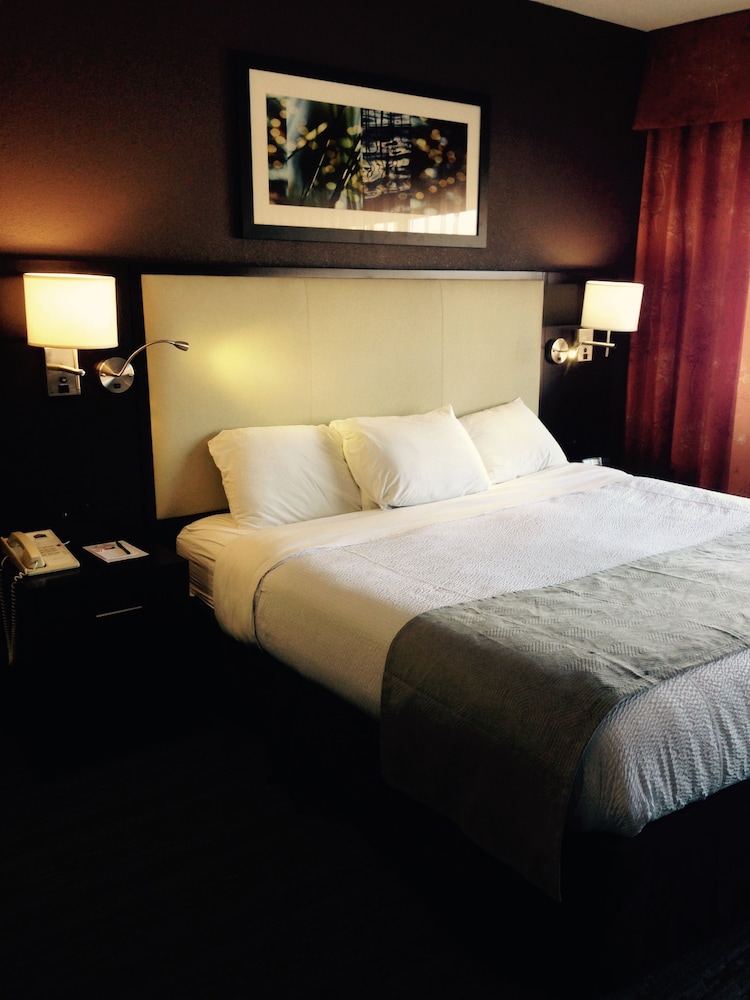 Deluxe Room, 1 King Bed photo 3