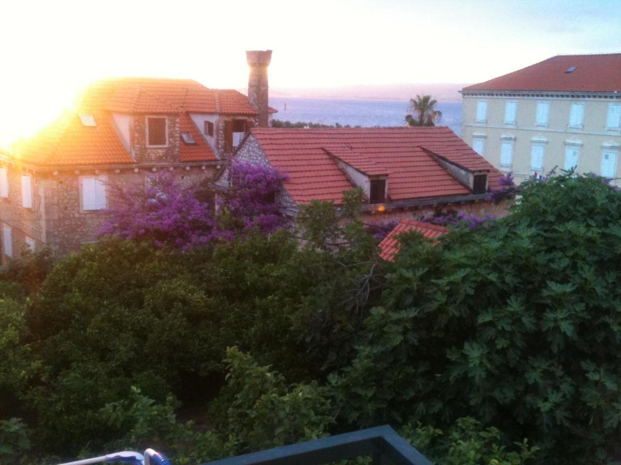 Studio with Sea View photo 1