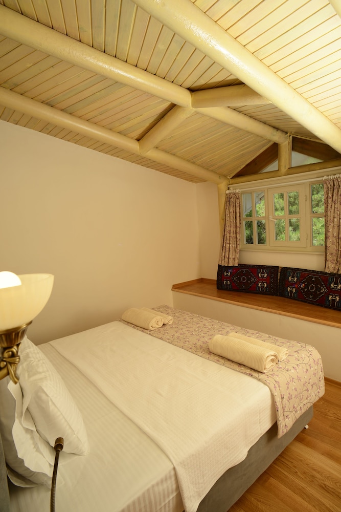 Executive Suite Room with Balcony and Forest View photo 1