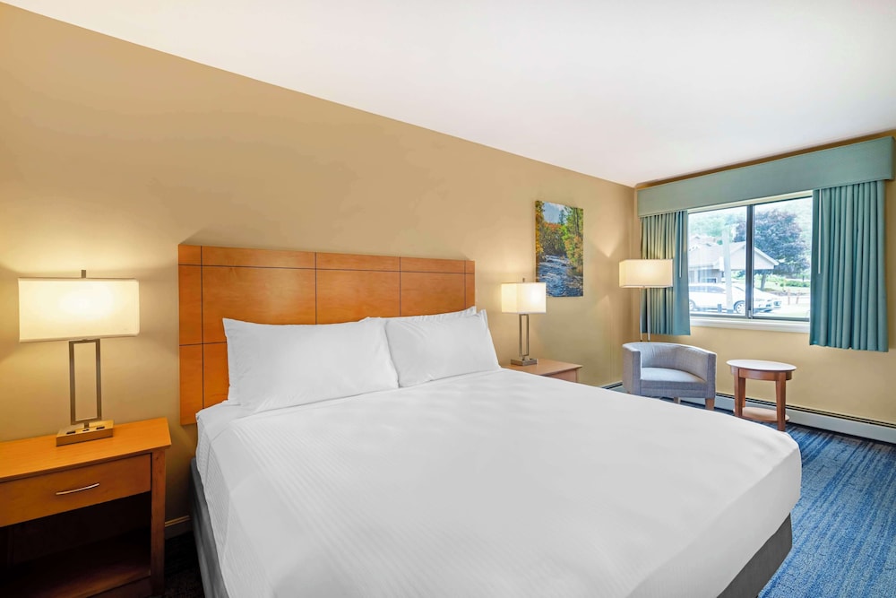 Suite, 1 King Bed, Non Smoking, Kitchen (2nd Floor;with Sofabed) photo 2