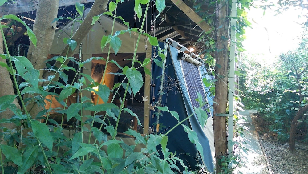Garden Safari Tent photo 1