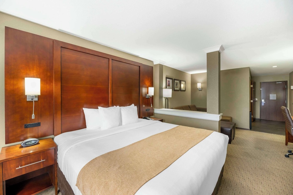Suite, 1 King Bed with Sofa bed, Accessible, Non Smoking