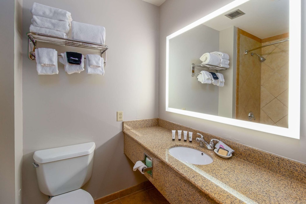 Premium Room, 1 King Bed - Photo 4
