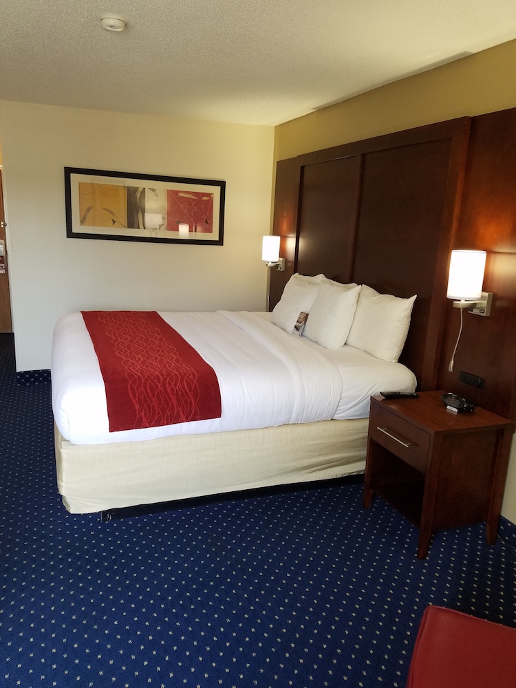 Standard Room, 1 King Bed, Non Smoking - Photo 3