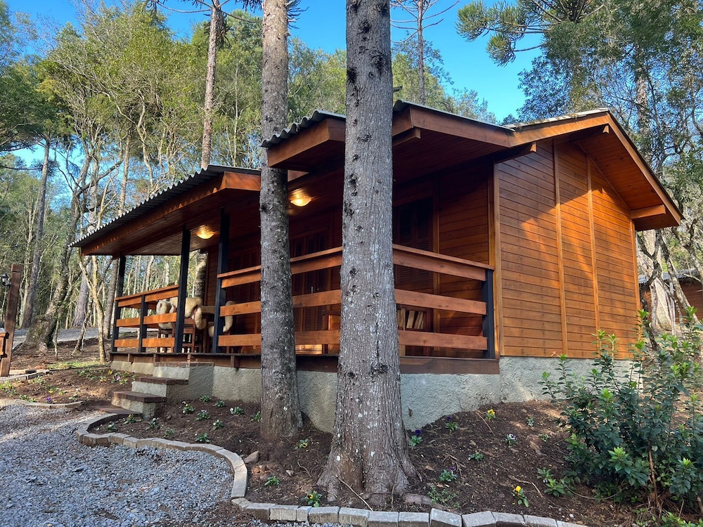 Comfort Cabin, Patio photo 1