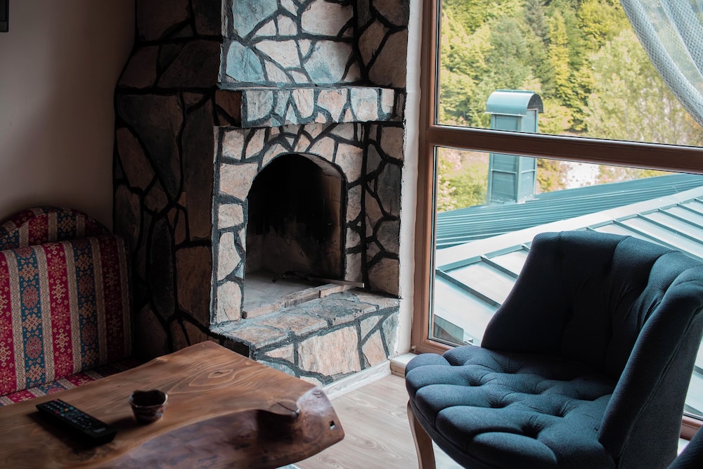 Business Chalet, 3 Bedrooms, Fireplace, Mountain View photo 2