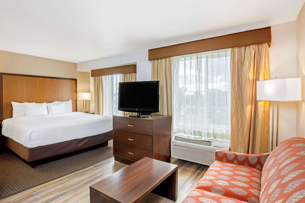 Deluxe Suite, 1 King Bed, Non Smoking - Photo 1