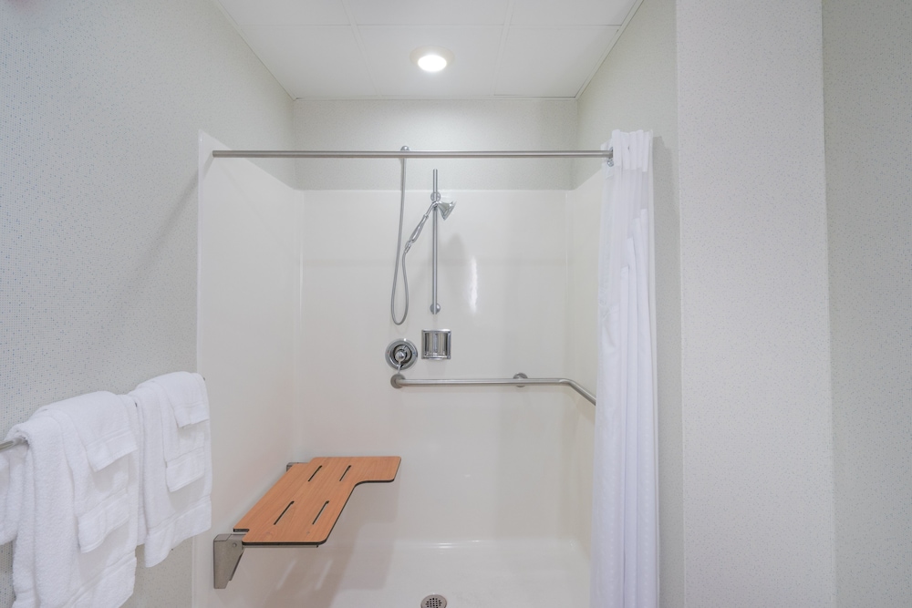 Room, 1 King Bed, Accessible (Communications, Mobil, Roll-In Shower) - Photo 3
