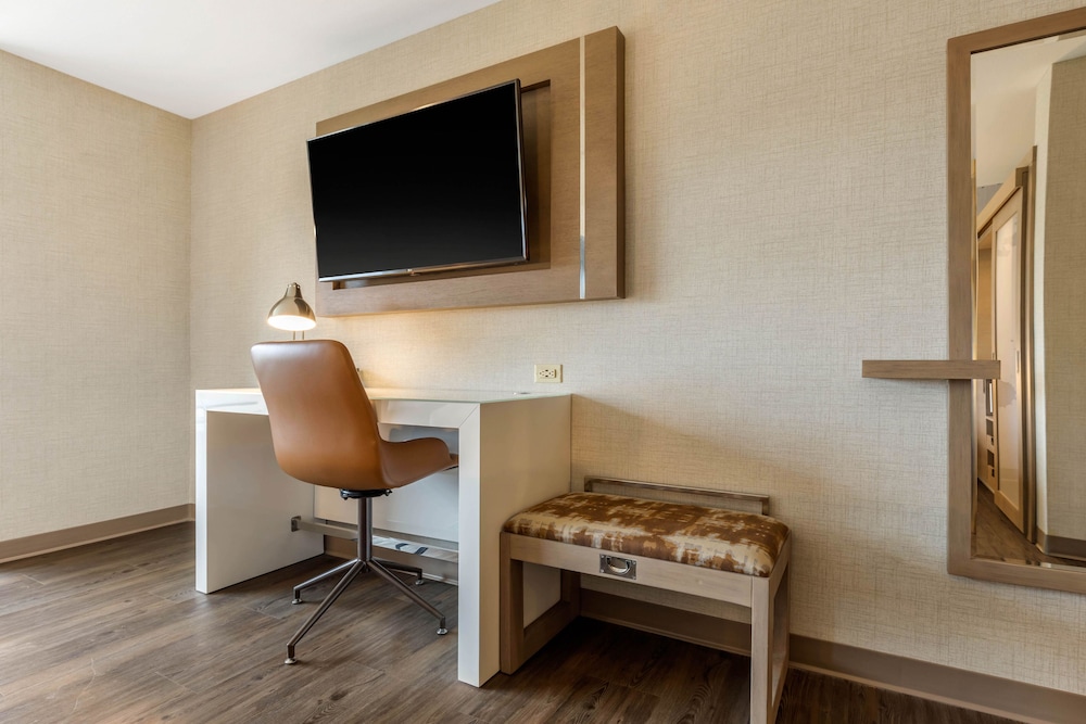 Suite, 1 King Bed, Non Smoking - Photo 11