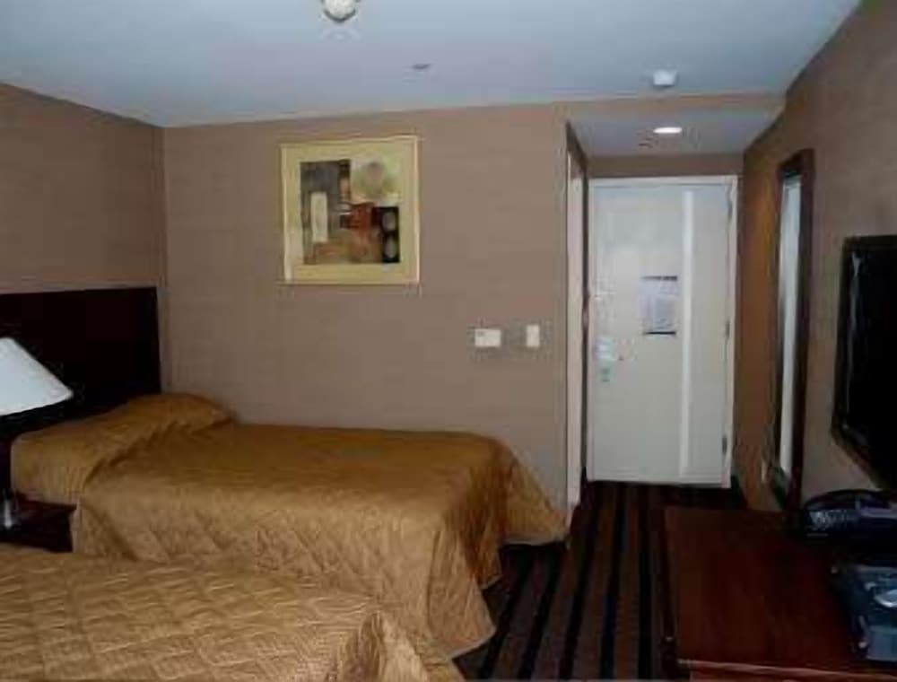 Double Room, 2 Double Beds photo 1