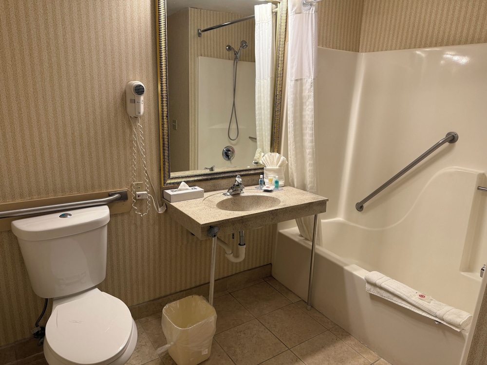 Room, 1 King Bed, Mobility Accessible, Non Smoking (Mobility, Bathtub W/grab Bars) - Photo 3