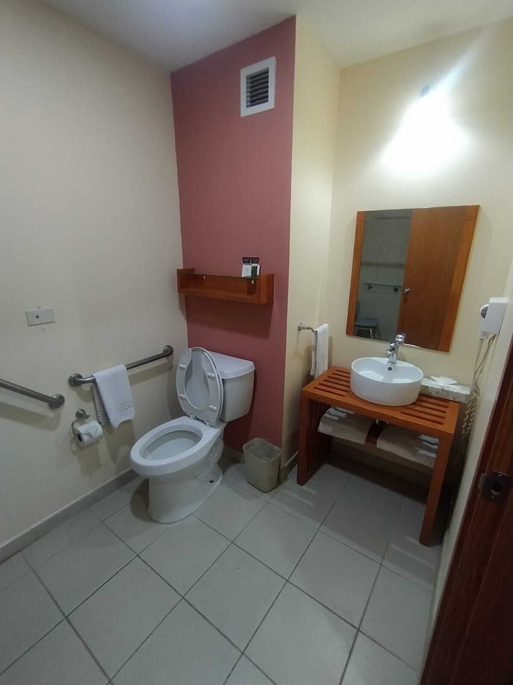 Executive Single Room, 1 Queen Bed, Accessible photo 2