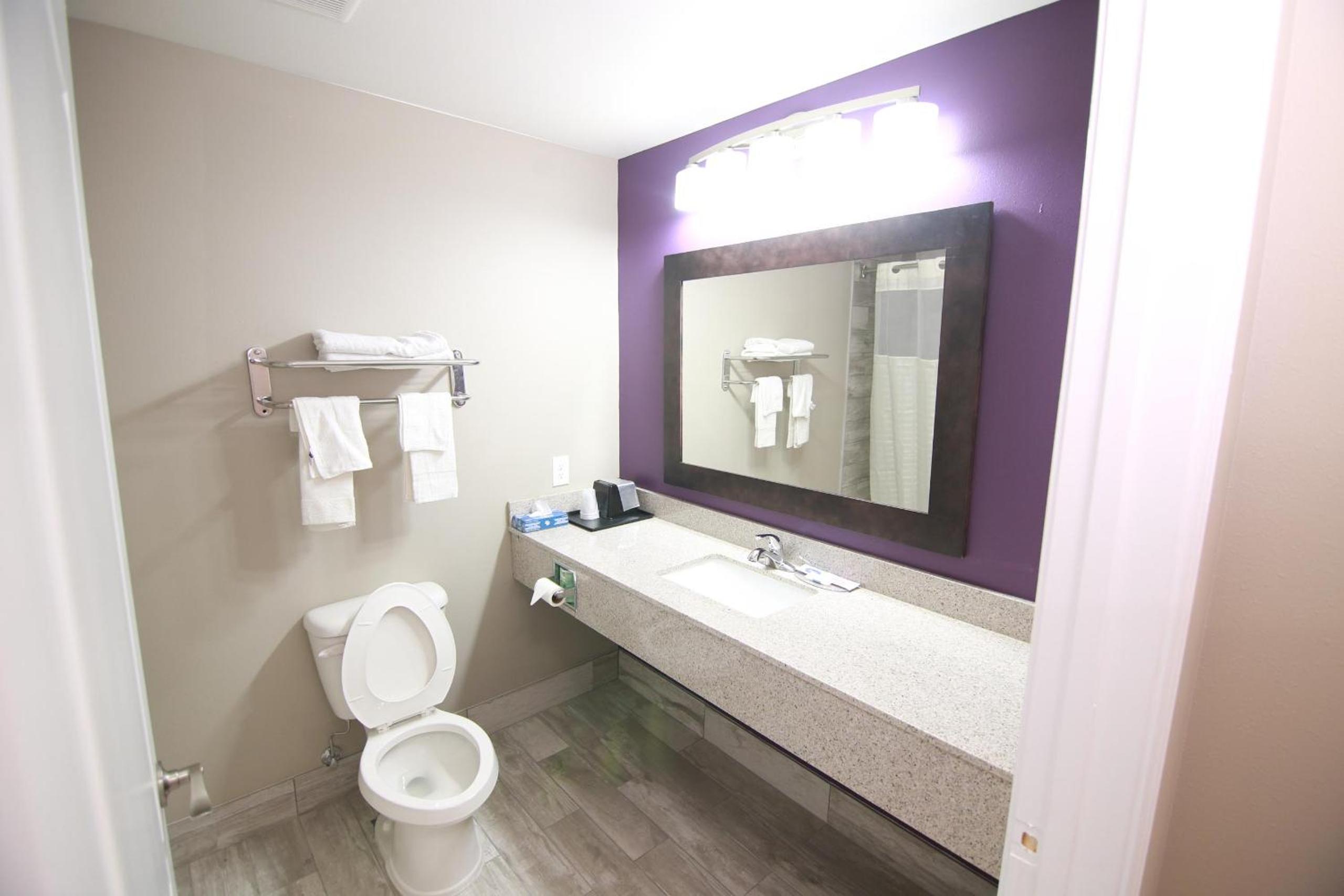 Queen Suite photo 3
