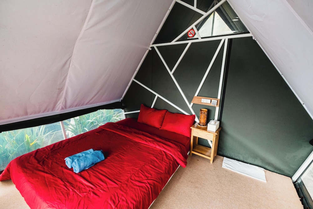 Standard Room - Photo 5