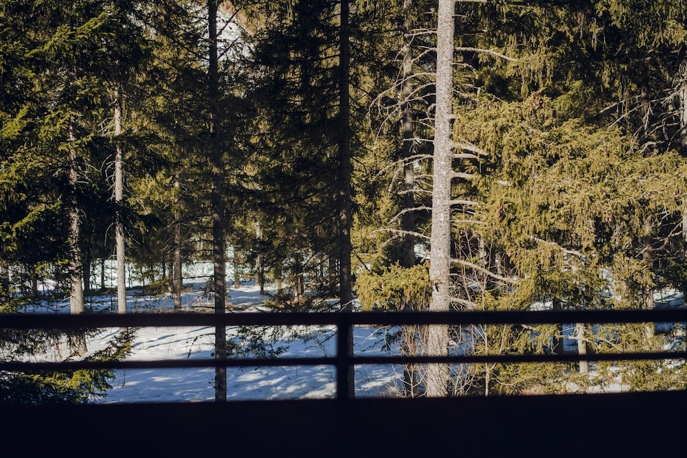 Forest Suite photo 3