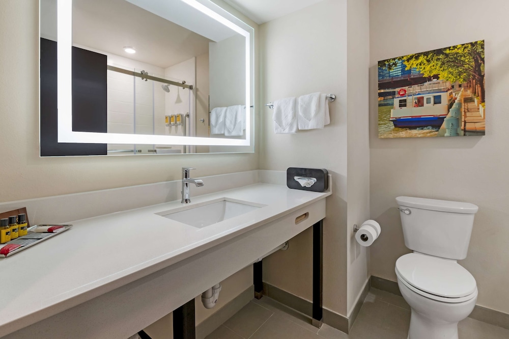 Standard Room, 1 King Bed, Non Smoking, Jetted Tub (Shower Only) - Photo 3