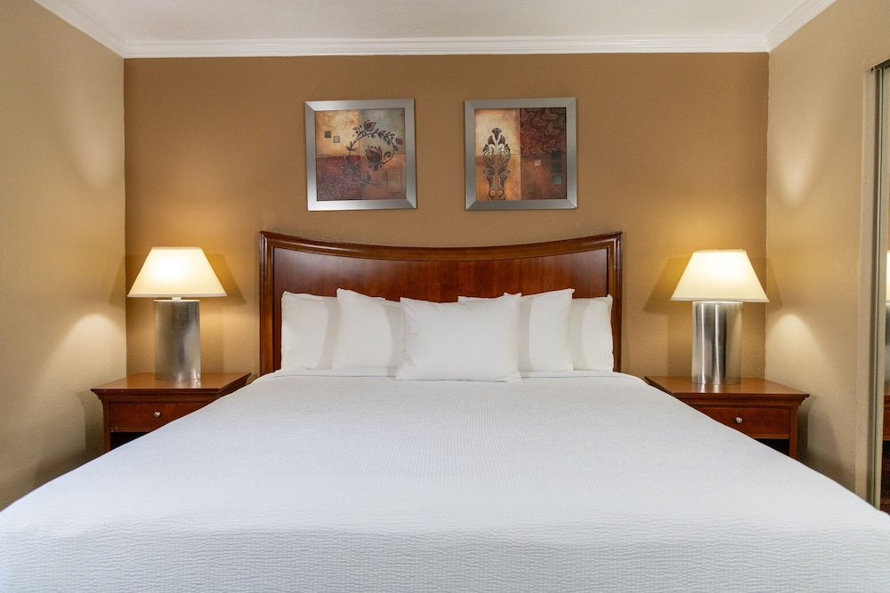 Suite, 2 Bedrooms - Photo 7