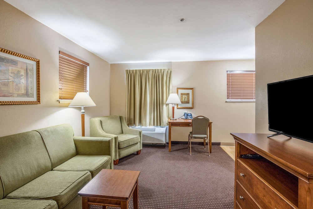 Suite, 1 King Bed with Sofa bed, Accessible, Non Smoking (Efficiency) photo 3