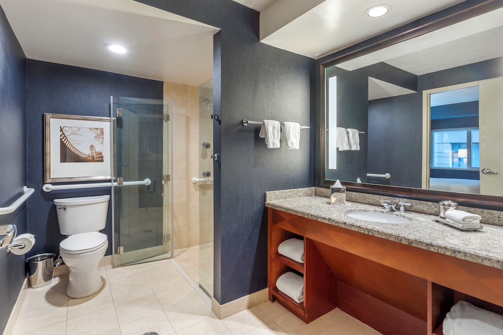 Accessible Deluxe Suite with Roll in Shower 1 Queen Bed thumbnail 5