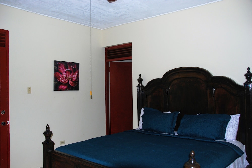 Room, 1 King Bed photo 3