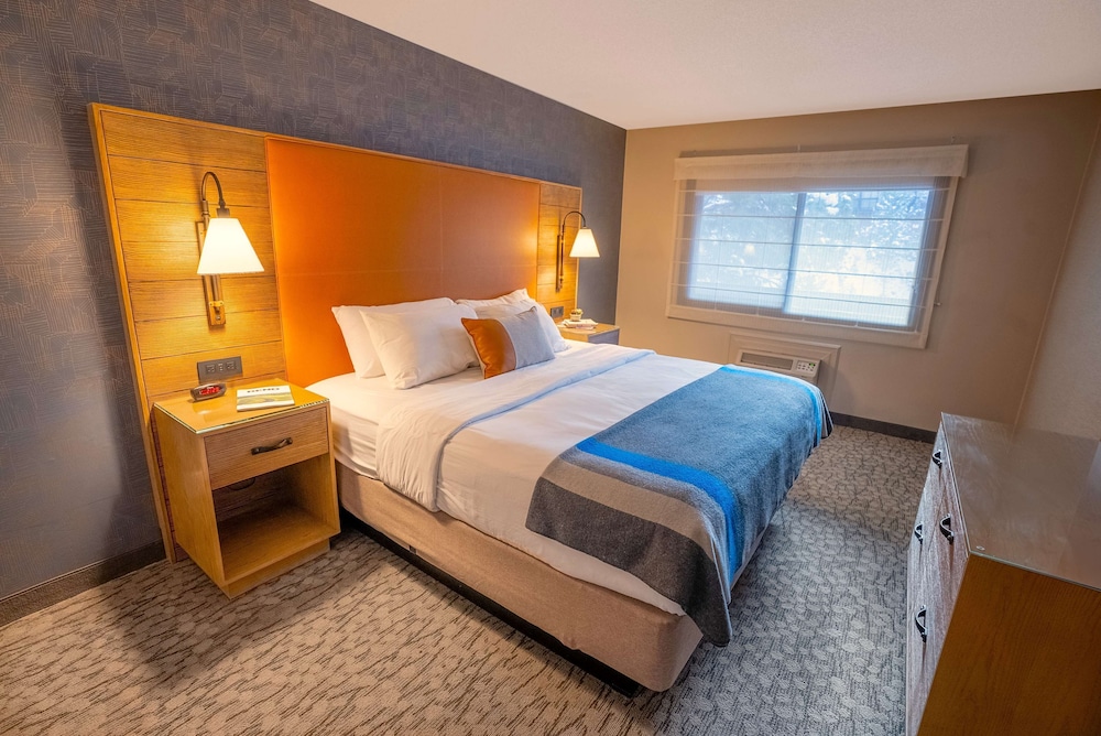 Suite, 1 Bedroom (with Sofa Bed) - Photo 7