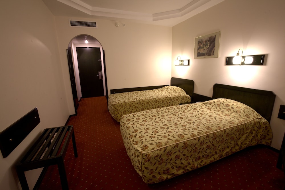 Standard Twin Room with French Balcony photo 1